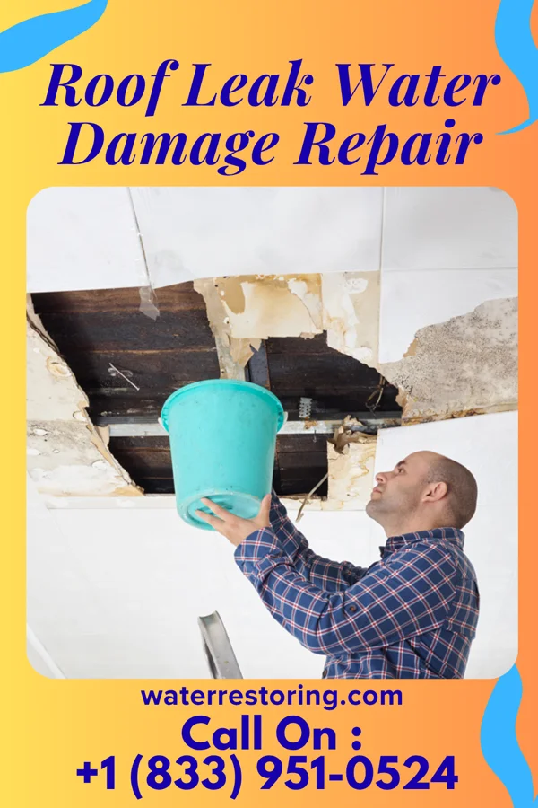 Roof Leak Water Damage Repair in New Elm Spring Colony, SD